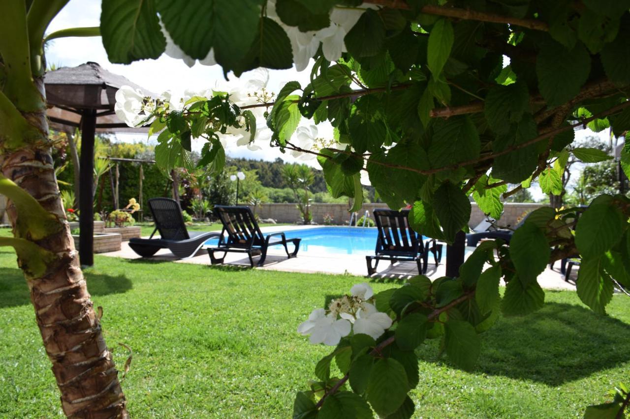 Alagoas4Family - Country House Aruouca Exterior foto